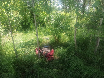 В Новосибирской области в лесу нашли скелет женщины