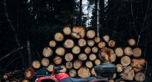 В Иркутской области будут судить преступную группу за контрабанду леса
