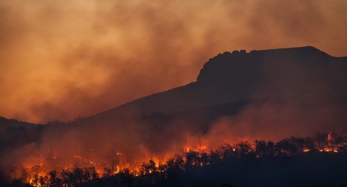 В Иркутской области локализован лесной пожар в зоне космомониторинга