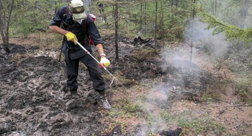 Таёжный пожар на площади 20 гектаров потушили в Бирилюсском районе Красноярского края
