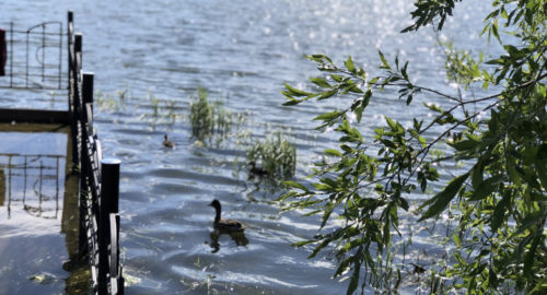 В томском МЧС назвали самые опасные места для купания в области