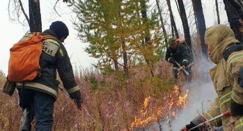 В Красноярском крае после пожаров под следствие попали по четверо глав и энергетиков