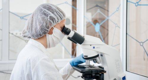 В Омске стартовал поиск ученых для решения проблемы лейкоза у скота