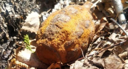 В Тюмени дети чуть не подорвались найденной боевой гранатой