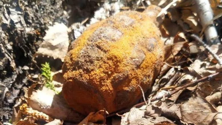В Тюмени дети чуть не подорвались найденной боевой гранатой