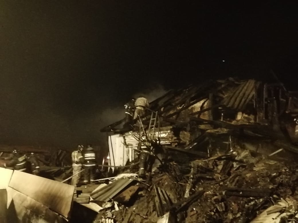 Под обломками дома в Иркутске, куда упал Су-30, нашли живую собаку