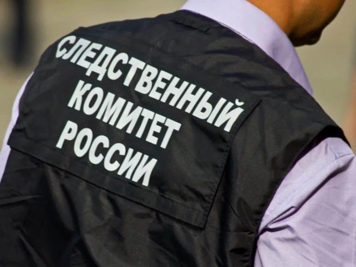В Красноярском крае женщину заподозрили в жестоком избиении полуторагодовалой дочки