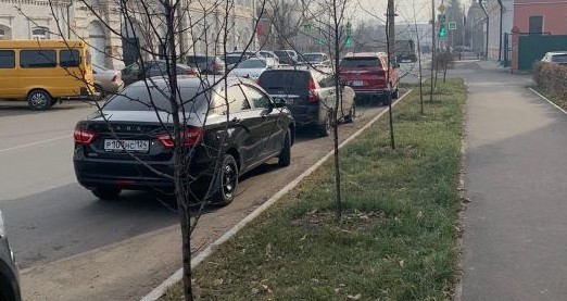 В Минусинске на озеленении украли свыше 760 тысяч бюджетных рублей