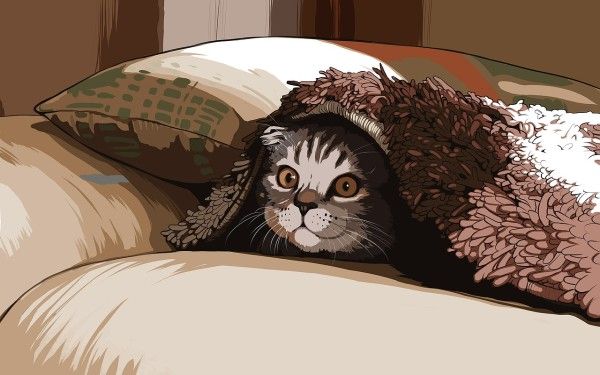 Котенок, застрявший на дереве в Омске, был спасен владельцем автовышки