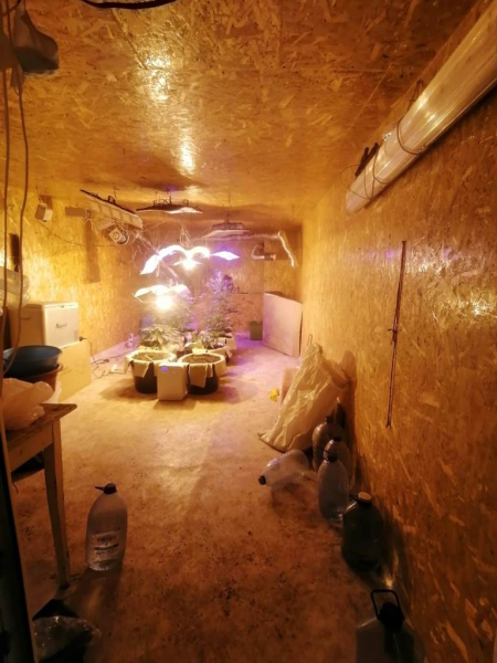 Житель Томска оборудовал у себя в гараже нарколабораторию по выращиванию конопли