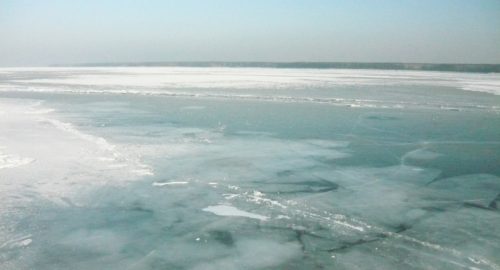 В Новосибирской области школьники скрыли от взрослых гибель своего 8-летнего друга