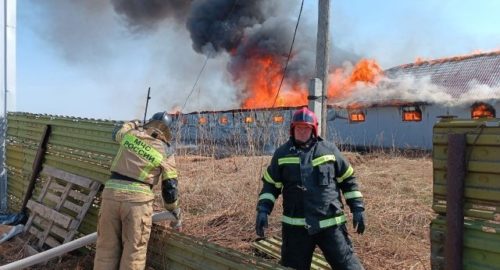 В Тюмени в Ишимском районе загорелась конюшня