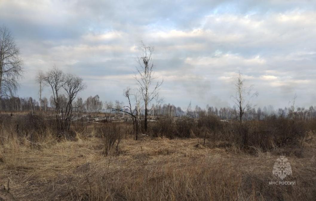 Под Тюменью возле поселка Боровский произошел ландшафтный пожар