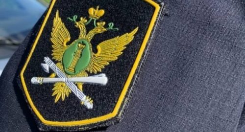 В Иркутске 53-летняя дачница покусала пристава после требования снести баню