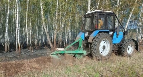 В результате разведения костра в лесу Красноярска произошел крупный пожар