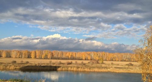 В Тюменской области ухудшается состояние водоемов