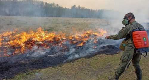 Два лесных пожара потушили в Томской области за прошлую неделю