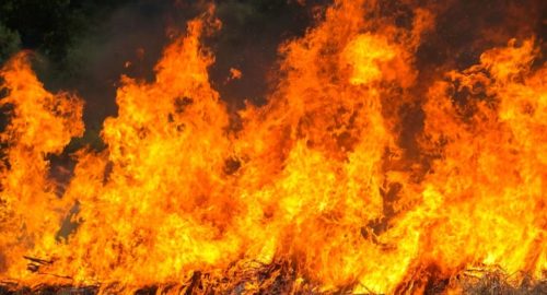 Режим пожарной безопасности в Кемерове нарушили почти 100 человек