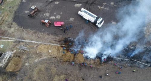Вдоль федеральной трассы в Новосибирске вспыхнул природный пожар