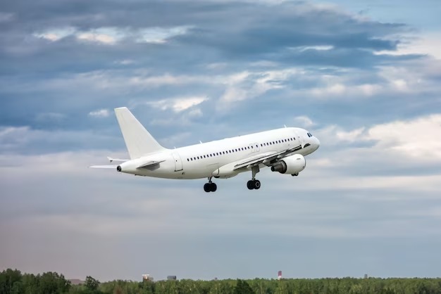 На борту самолета из Москвы в Омск пассажир устроил драку