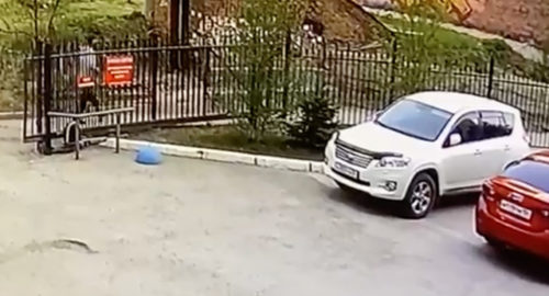 На улице Новосибирска неизвестный напал на девочку-подростка