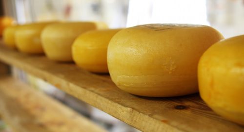 В Тюмени цена на сыр вырастет на 35%