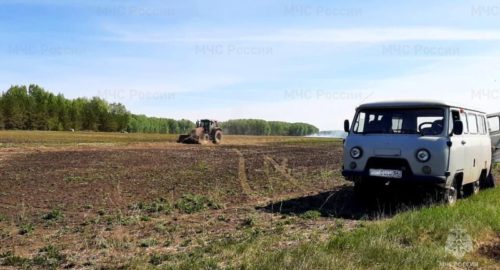 За неделю в Новосибирской области ликвидировали 460 природных пожаров