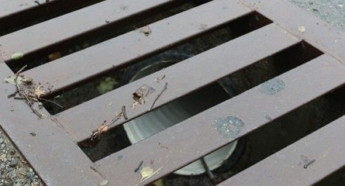 В Кемерове жильцы дома жалуются на фекальные потопы