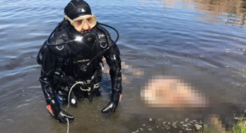 В Новосибирске спасатели-водолазы извлекли из реки труп 59-летнего мужчины