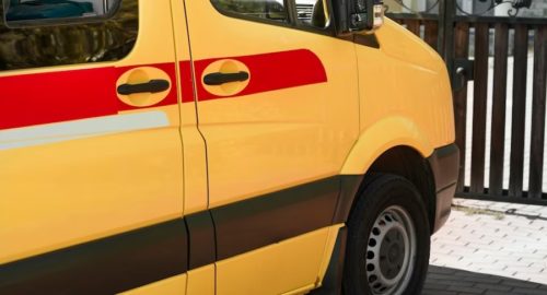 В центре Красноярска 7-летний ребенок заболел эрлихиозом от укуса клеща