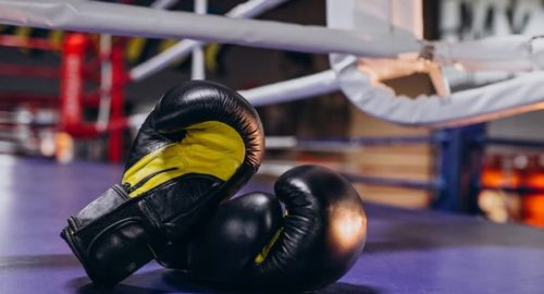 На чемпионате СФО Красноярские боксеры завоевали шесть медалей