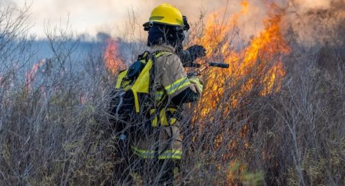 Противопожарный режим действует в 57 районах Красноярского края