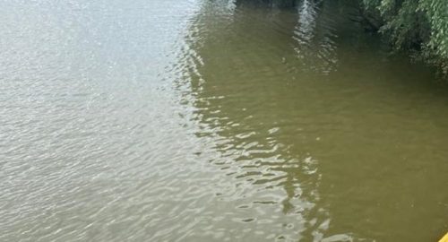 Природоохранная прокуратура проводит проверку по факту разлива нефтепродуктов в Барнаулке