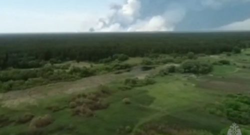 В Республике Алтай финансирование борьбы с коноплей увеличили в 10 раз