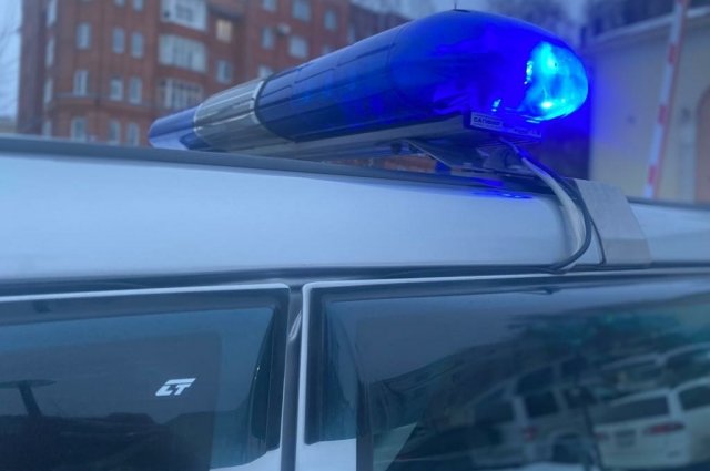 В Томске мужчина пытался похитить каменную сковородку из магазина