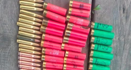 В Красноярском крае обнаружены патроны, похищенные подростком из детдома