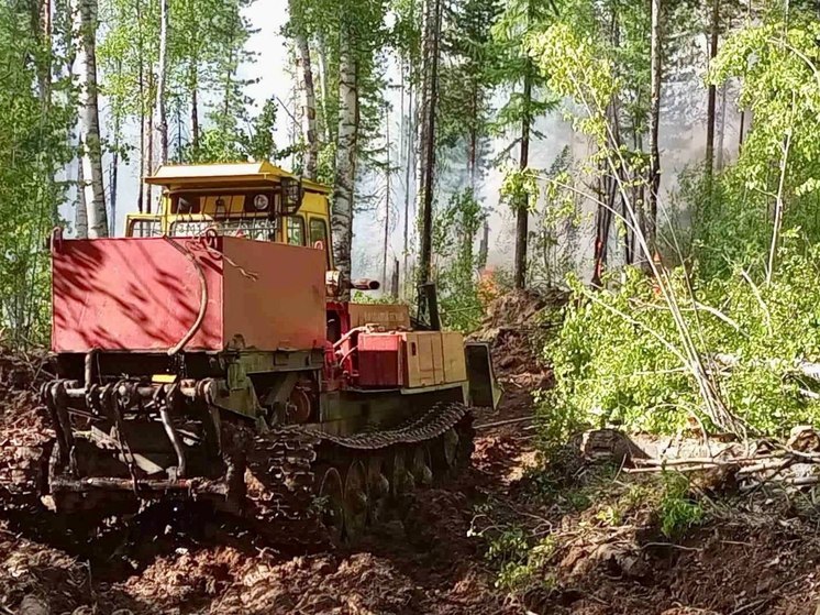 В Иркутске за сутки потушили два лесных пожара