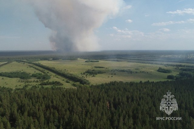 Пожар в Егорьевском районе охватил более 7 тысяч гектаров земли