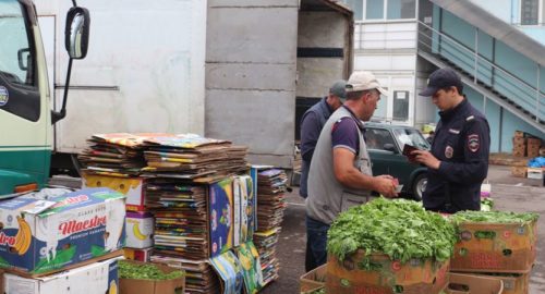 Более 30 мигрантов-нарушителей нашли в теплицах под Красноярском