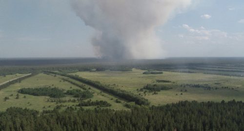 Почти тысяча гектаров леса выгорела в Иркутской области из-за 39 пожаров