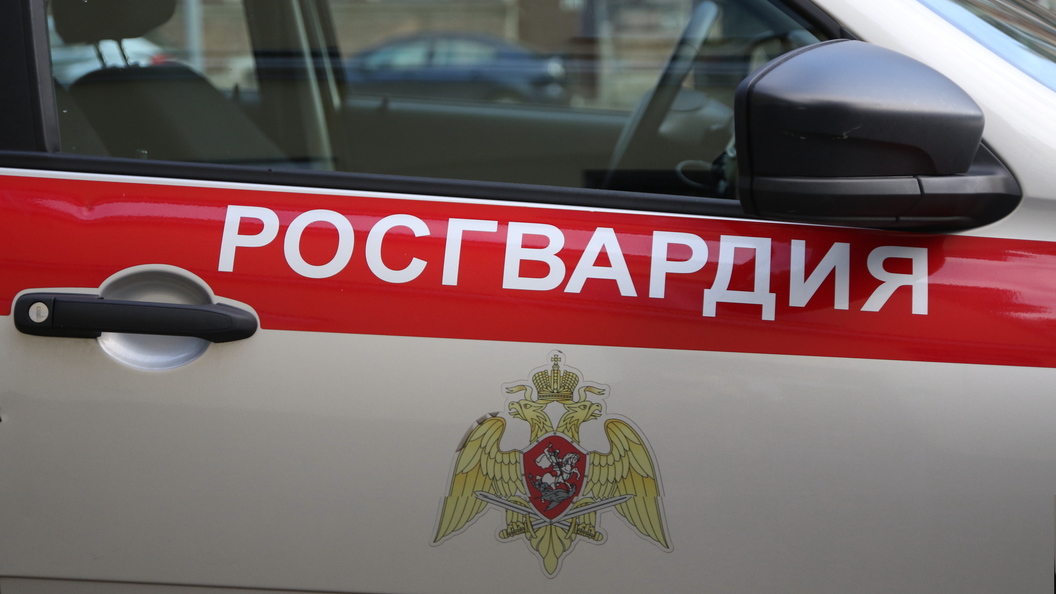 Иркутские Росгвардейцы смогли обезвредить гранаты времен ПВМ