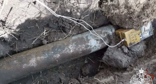 Жители Новосибирска обнаружили вблизи села Алексеевка боеприпас времен ВОВ