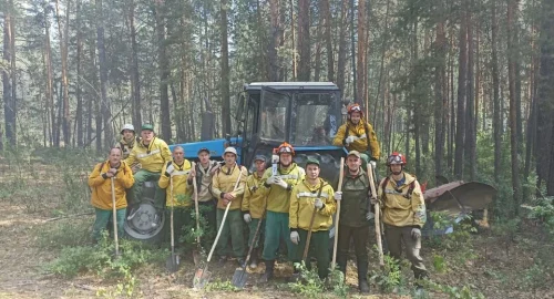 Лесной пожар в Егорьевском районе Алтайского края локализовали на площади 10 тыс. га