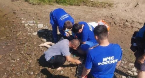 В Туве двое подростков спасли 11-летнюю девочку от утопления