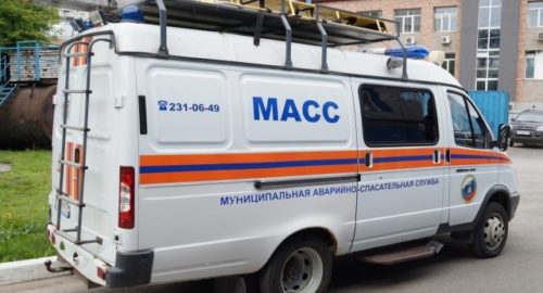В Новосибирске школьники вызвали спасателей, чтобы спастись от стаи собак