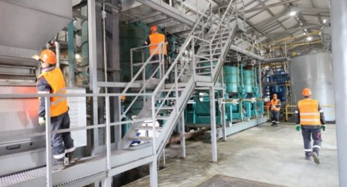В Иркутской области запустили завод по производству рапсового масла