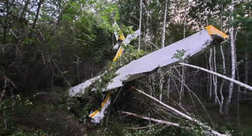 Жесткая посадка самолета Cessna в Новосибирске произошла из-за отказа двигателя