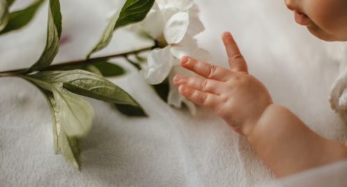 В Тюмени в пятерку самых популярных имен для новорожденных вошли София, Анна, Мария и Полина