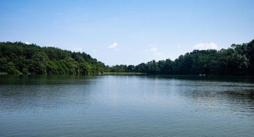 На озере Зеркальное в Красноярске утонул 70-летний пенсионер