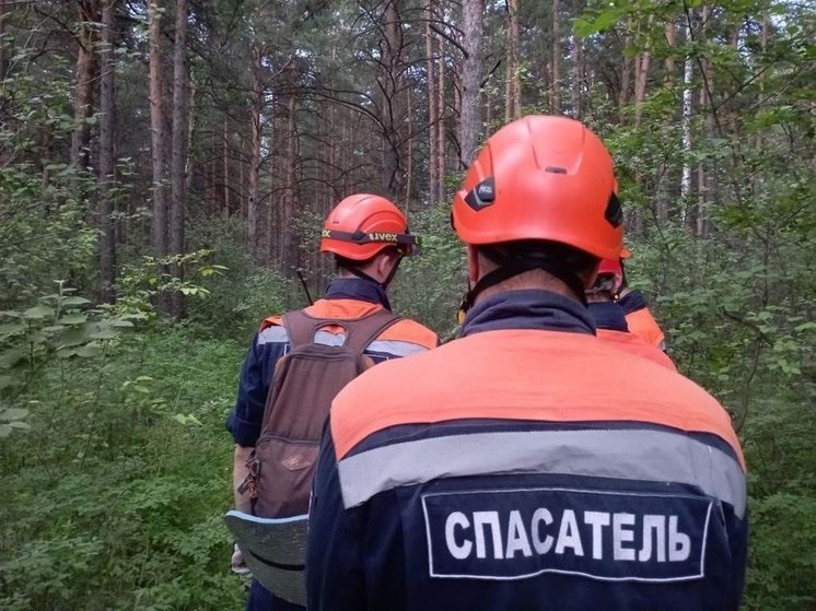 Спасатели нашли пропавших мужчину и детей в нацпарке «Красноярские Столбы»